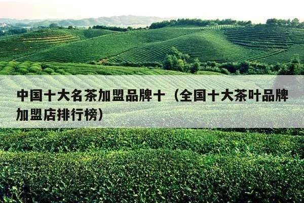 可加盟茶叶品牌大全有哪些 加盟茶叶店排行榜