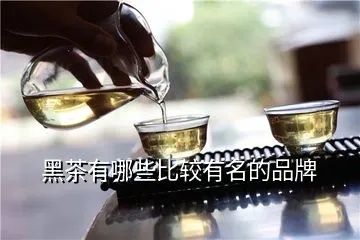 十大黑茶品牌排行榜都有哪些？——品味黑茶的魅力与品质