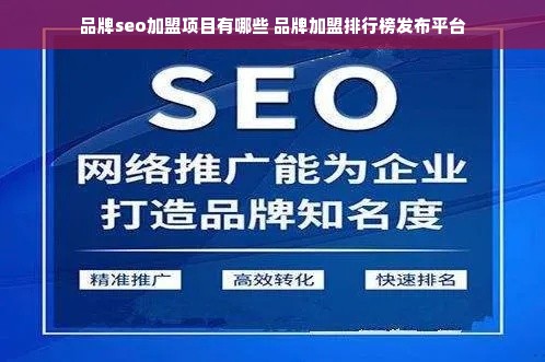 品牌seo加盟项目有哪些 品牌加盟排行榜发布平台