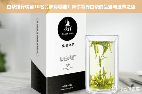 白茶排行榜前10名品牌有哪些？带你领略白茶的品鉴与选购之道