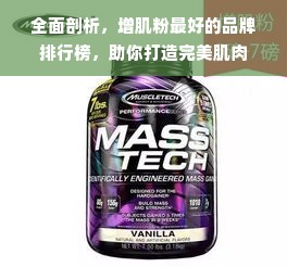 全面剖析，增肌粉最好的品牌排行榜，助你打造完美肌肉