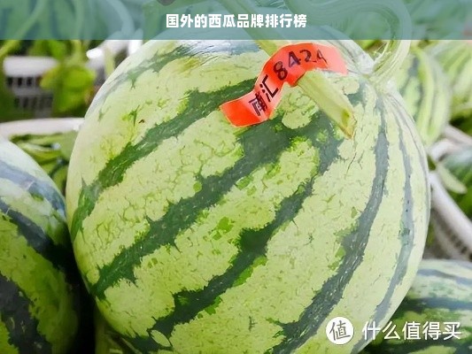 国外的西瓜品牌排行榜