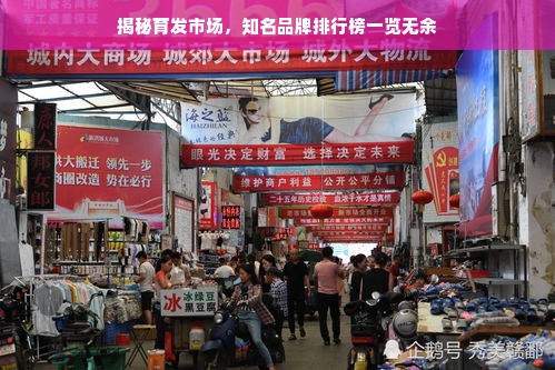 揭秘育发市场，知名品牌排行榜一览无余