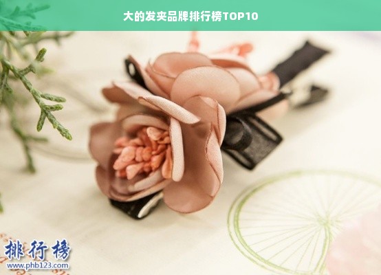 大的发夹品牌排行榜TOP10