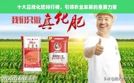 十大品牌化肥排行榜，引领农业发展的重要力量