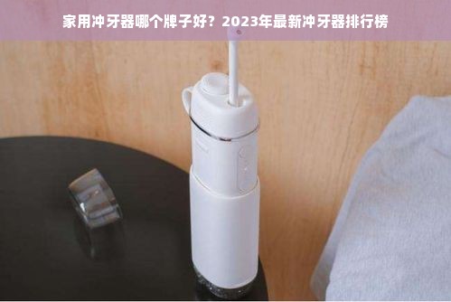 家用冲牙器哪个牌子好？2023年最新冲牙器排行榜