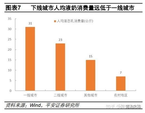 深度解析，定制品牌排行榜前二十名的特色与价值