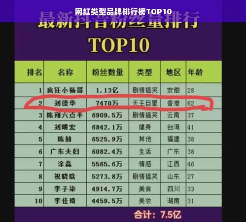 网红类型品牌排行榜TOP10