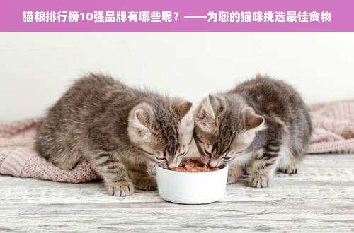 猫粮排行榜10强品牌有哪些呢？——为您的猫咪挑选最佳食物