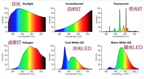 全光谱知名品牌排行榜，引领LED照明行业的未来之星