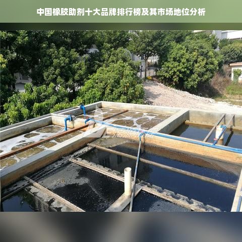 中国橡胶助剂十大品牌排行榜及其市场地位分析