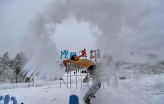  全球雪地棉品牌排行榜，十强揭晓，谁是真正的领导者？