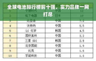 全球电池排行榜前十强，实力品牌一网打尽