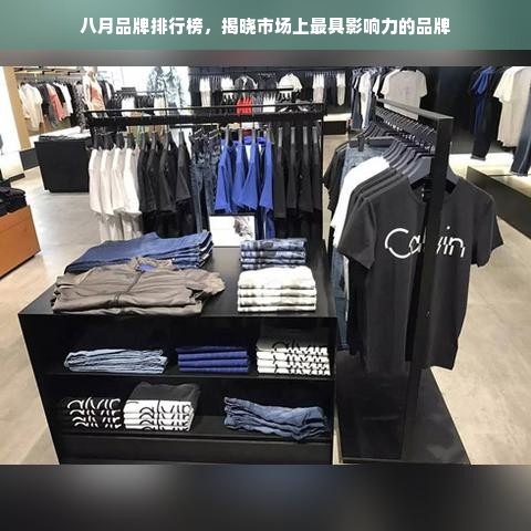 八月品牌排行榜，揭晓市场上最具影响力的品牌