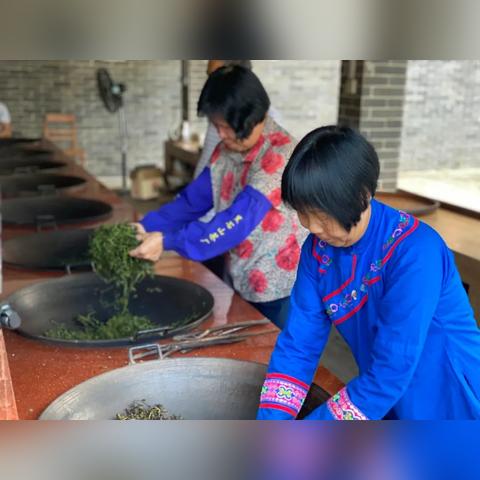 六堡茶品牌排行榜，品味千年古茶的独特韵味