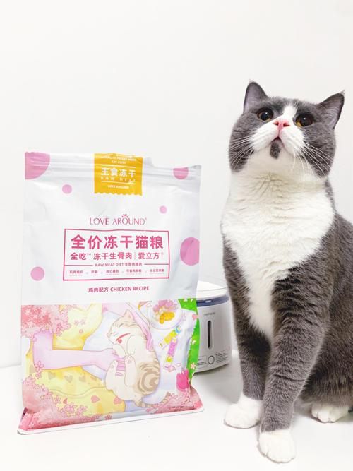 猫吃冻干食品排行榜，为你的猫咪挑选最佳零食