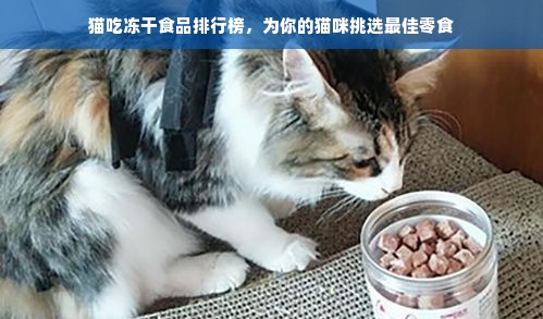 猫吃冻干食品排行榜，为你的猫咪挑选最佳零食