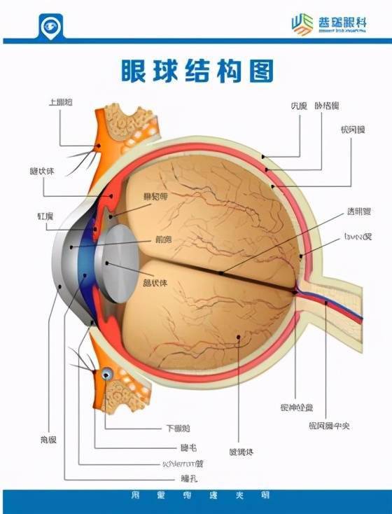 热门话题螺蛳粉品牌排行榜10强，让你吃出健康与美味的完美结合！