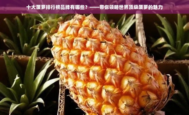 十大菠萝排行榜品牌有哪些？——带你领略世界顶级菠萝的魅力