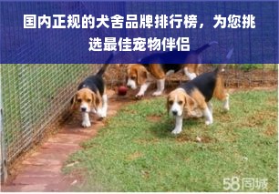 国内正规的犬舍品牌排行榜，为您挑选最佳宠物伴侣