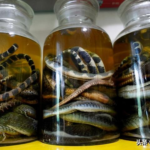 全球顶级药酒品牌排行榜，探索高价位药品与烈酒的完美结合