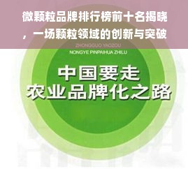  微颗粒品牌排行榜前十名揭晓，一场颗粒领域的创新与突破