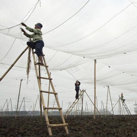 全球顶级雪茄柜品牌排行榜，带你领略高品质烟草文化