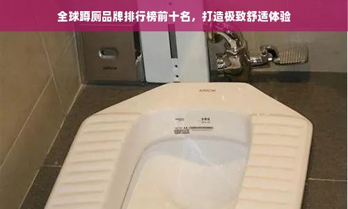 全球蹲厕品牌排行榜前十名，打造极致舒适体验