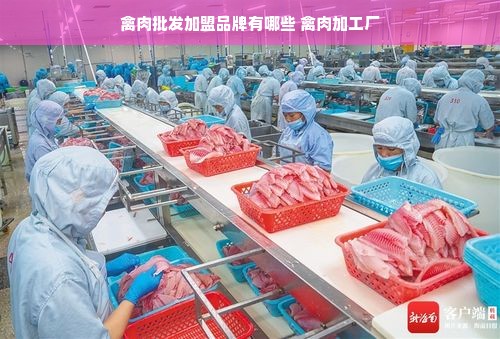 禽肉批发加盟品牌有哪些 禽肉加工厂