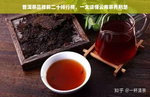 普洱茶品牌前二十排行榜，一文读懂云南茶界翘楚