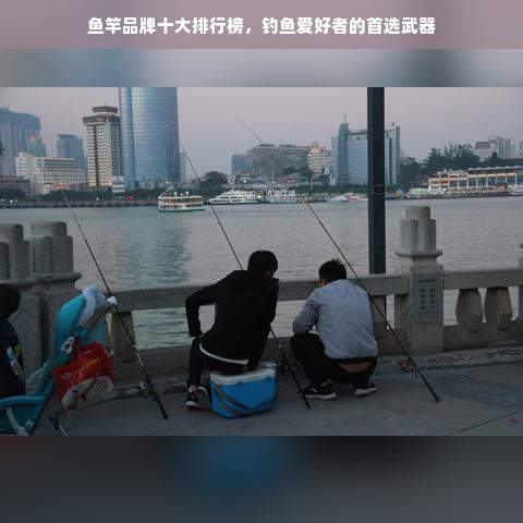 鱼竿品牌十大排行榜，钓鱼爱好者的首选武器