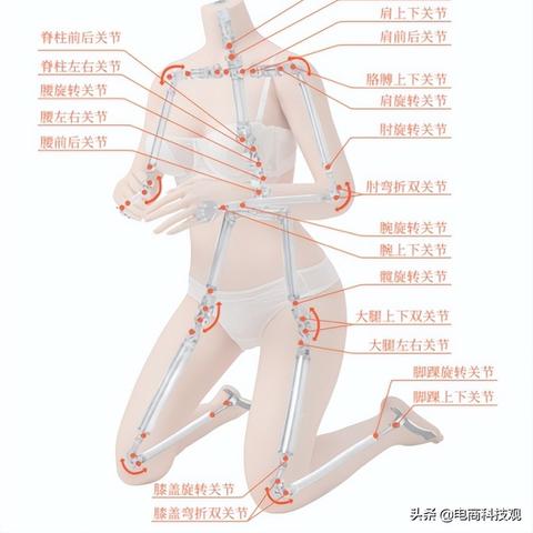 硅胶娃娃品牌排行榜前十名有哪些？揭秘市场热门品牌及选购技巧