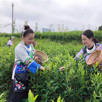 黄金的十大品牌排行榜有哪些呢？——探寻黄金首饰市场的领先品牌