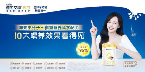 豆粉品牌排行榜前十名有哪些呢？——为您呈现最受欢迎的豆粉品牌