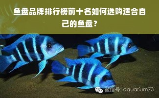 鱼盘品牌排行榜前十名如何选购适合自己的鱼盘？