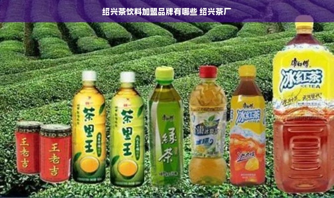 绍兴茶饮料加盟品牌有哪些 绍兴茶厂