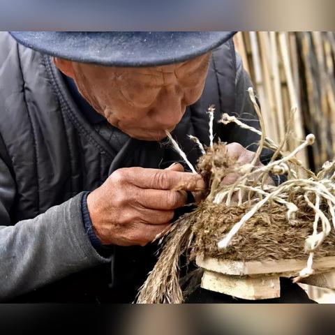 中国建材木板十大品品牌排行榜，权威指南，助您选材无忧