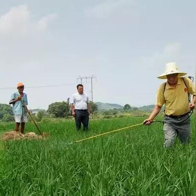 中国农机品牌排行榜前十名，国产农机崛起的代表