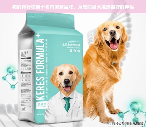 狗的排行榜前十名有哪些品牌，为您的爱犬挑选最好的伴侣