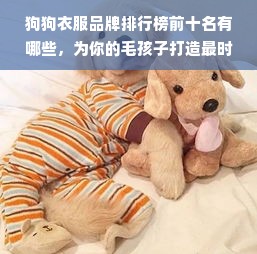 狗狗衣服品牌排行榜前十名有哪些，为你的毛孩子打造最时尚的穿搭