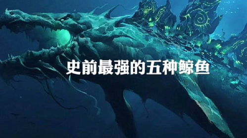 探索海洋的神秘面纱，纳米浮漂品牌排行榜前十位