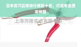 日本剪刀品牌排行榜前十名，打造专业理发神器