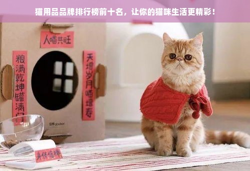 猫用品品牌排行榜前十名，让你的猫咪生活更精彩！