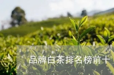 白茶大品牌排行榜前十名，带你领略白茶的魅力