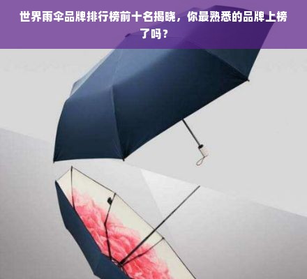 世界雨伞品牌排行榜前十名揭晓，你最熟悉的品牌上榜了吗？