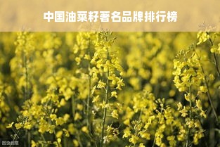 中国油菜籽著名品牌排行榜