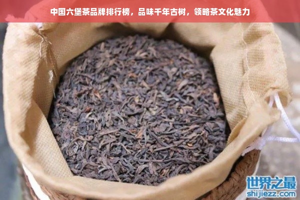 中国六堡茶品牌排行榜，品味千年古树，领略茶文化魅力