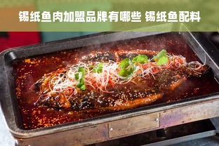 锡纸鱼肉加盟品牌有哪些 锡纸鱼配料