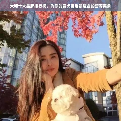 犬粮十大品牌排行榜，为你的爱犬挑选最适合的营养美食