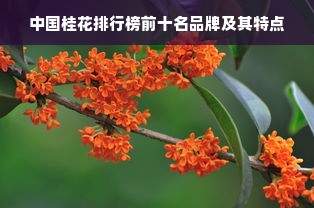 中国桂花排行榜前十名品牌及其特点